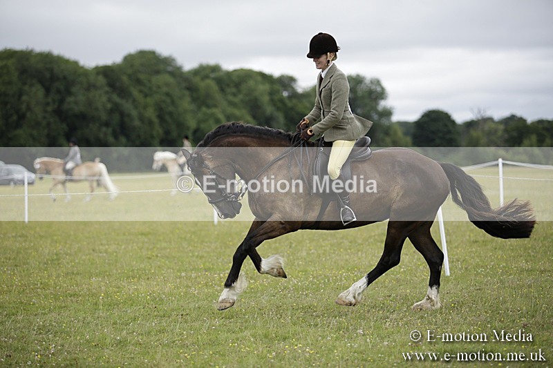 BVR160717-1304 - Ring 1 BVRC Show 16/07/17