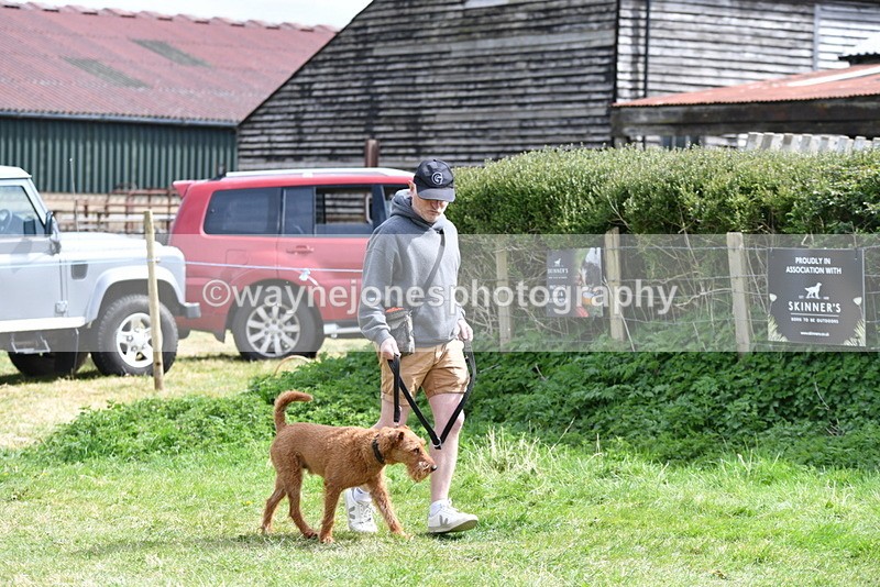 WJ5_9641 - Class 3 Most Handsome Dog