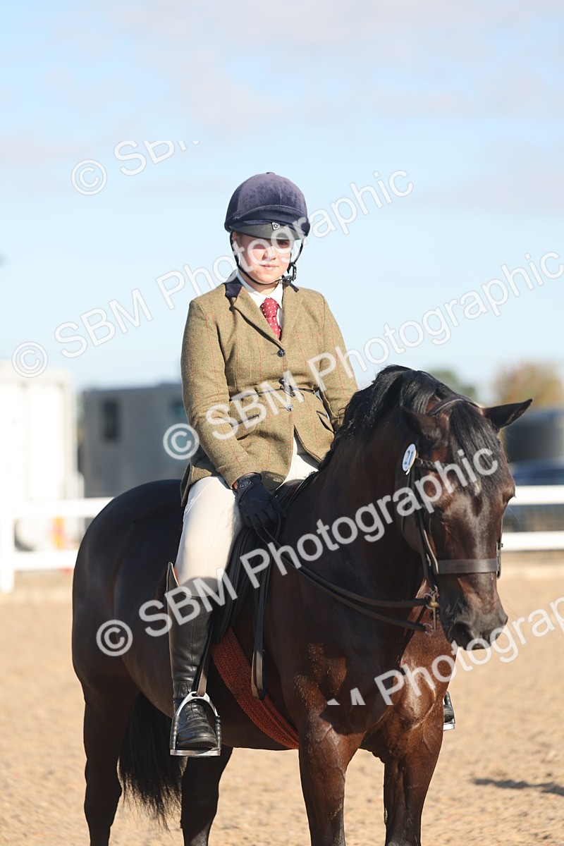 SBM_11059 - Class 302 - Ridden M&M Large Breeds