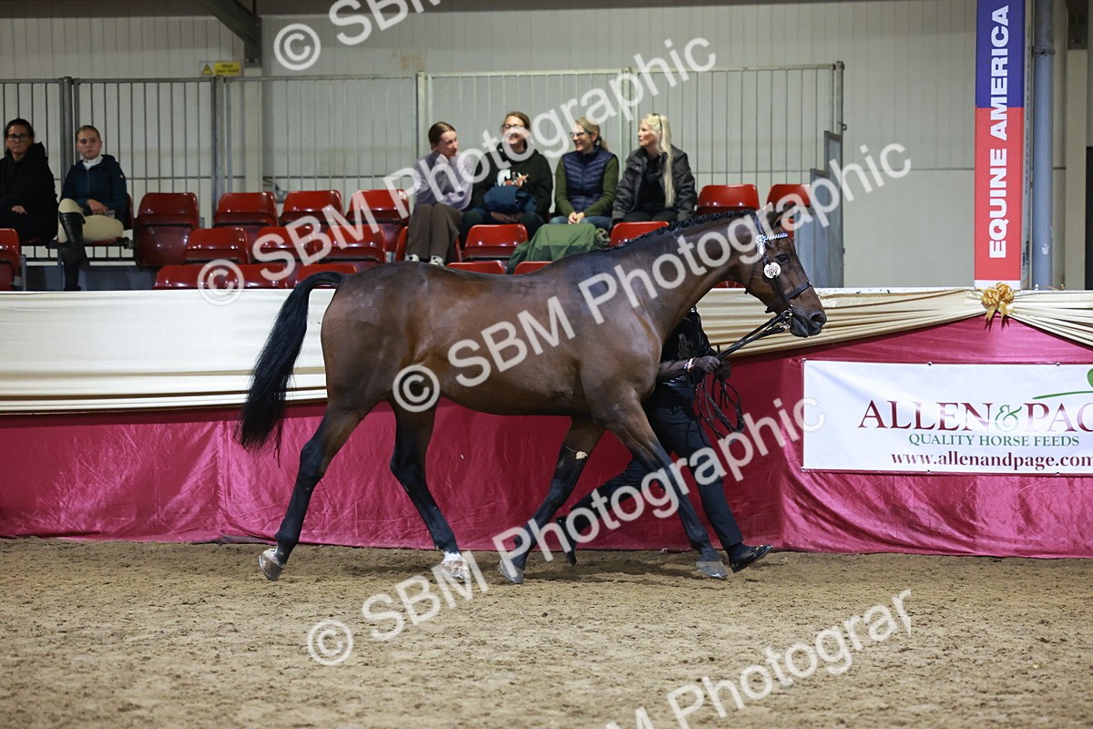 SBM_21526 - Class V - Champion of Champions