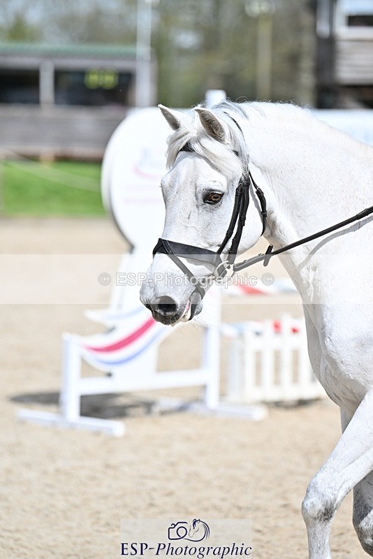 240413-122408-00954 - Cls 5+6 80cm Start to 1pm