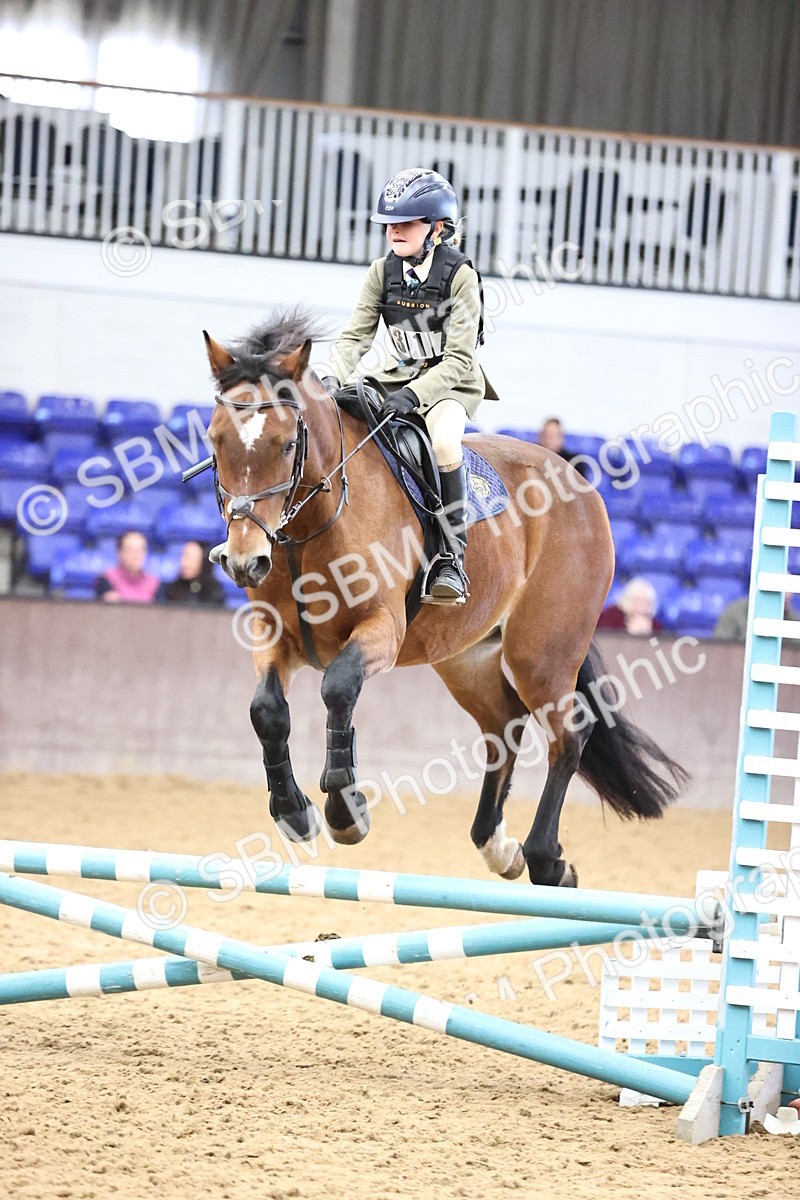 SBM_001962 - Class 5 - Henlow Veterinary Hospital - 70cm Area 12 Championship Qualifier