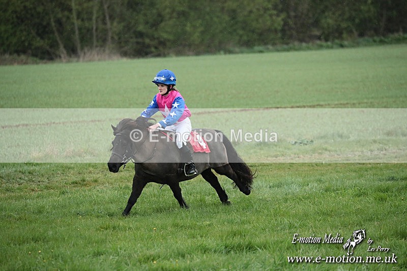 SHETPR 210425 108 - Shetland Ponies Paxford Races 21/04/25