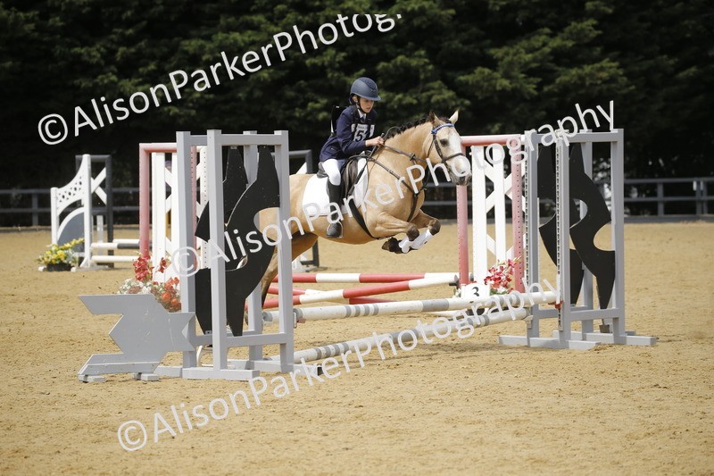 20250622-4656 - 50cm