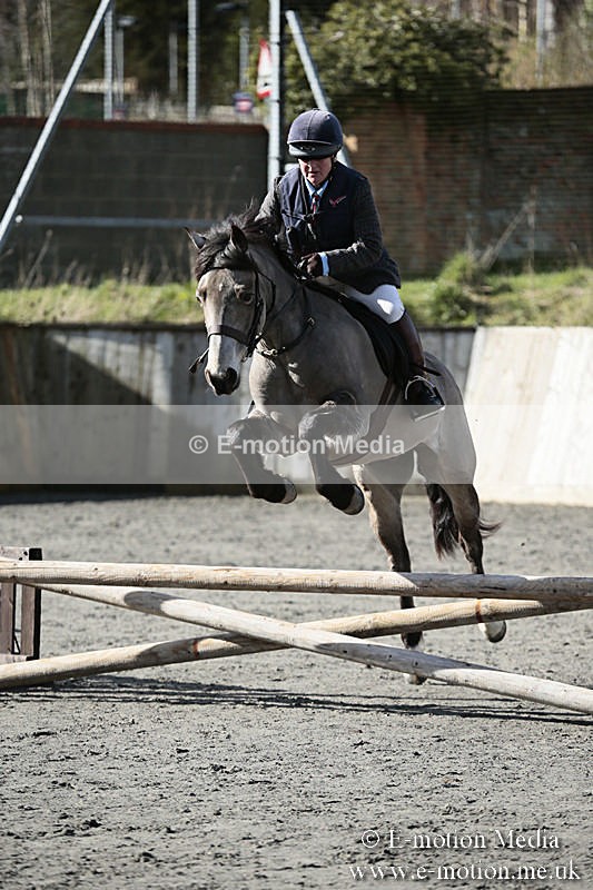 BVRC SJ 170319 18 - Bourne Valley Riding Club Showjumping 17/03/19