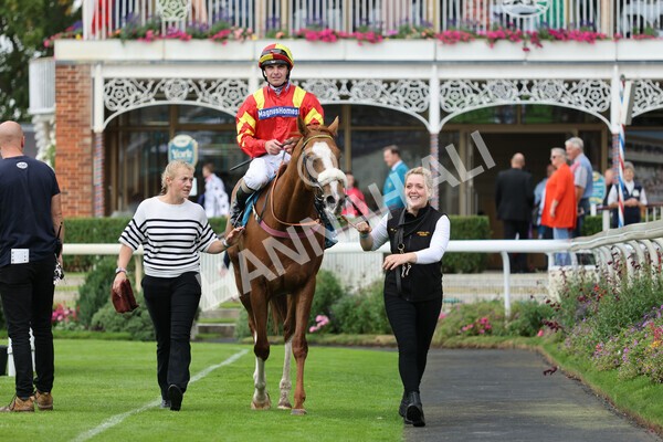 yr04092022r3-38 - Race 3 2.55pm The Elevator Company Garrowby Stakes
