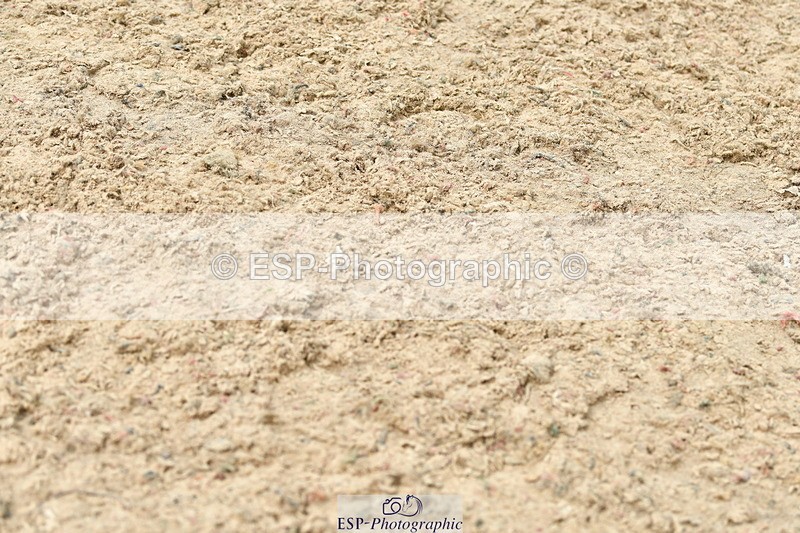 230804A-123443-02567 - Showjumping Competition