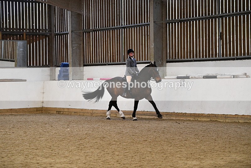 WJ5_7689 - Class 13 Ridden Part Breed