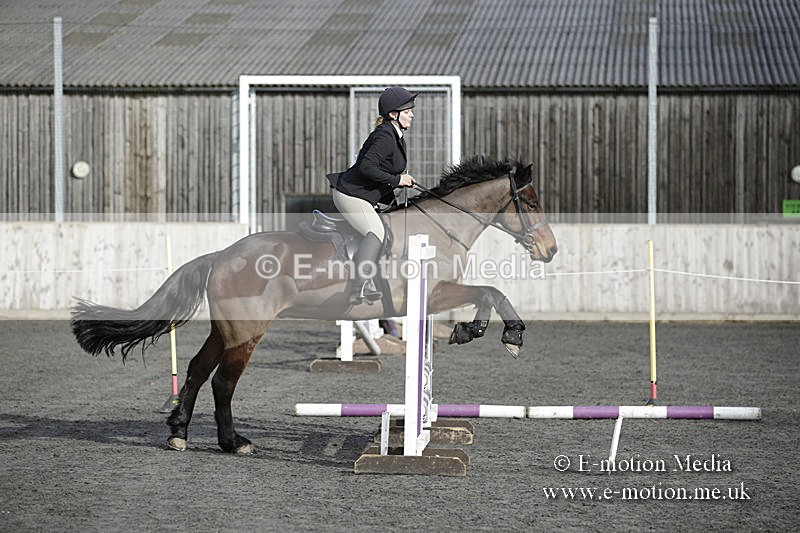 BVRC 050320 0064 - Bourne Valley riding Club Show Jumping Tidworth 08/03/20