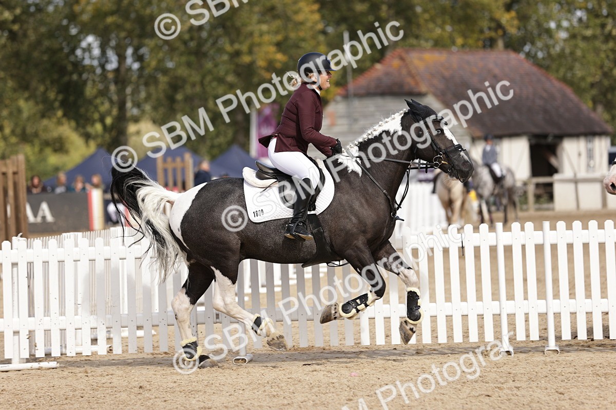 SBM_18553 - Supreme Championship