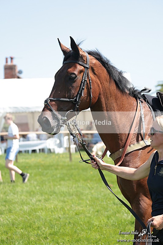 PtP 250526 165 - Albrighton & Woodland PtP Chaddesley Corbett 25/05/26