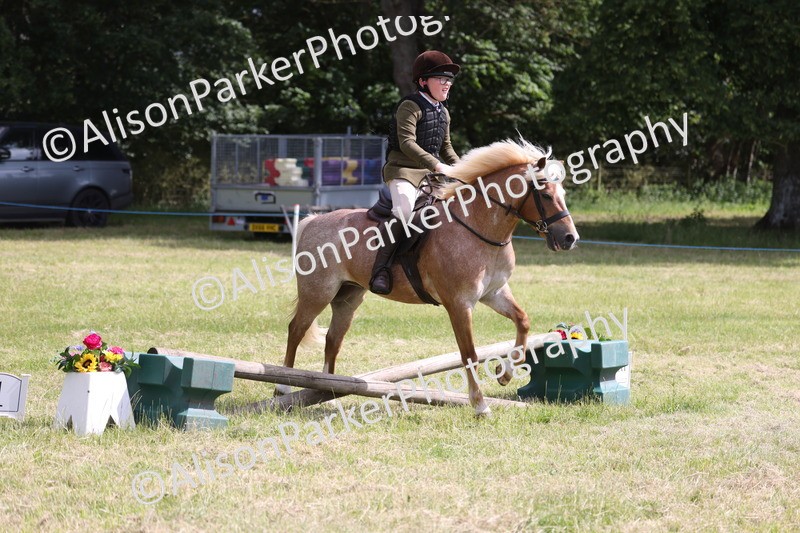 20260614-0743 - Class 20 - Beginners Working Hunter Pony