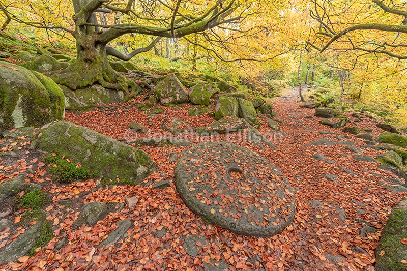 Padley Gorge - The Peak District