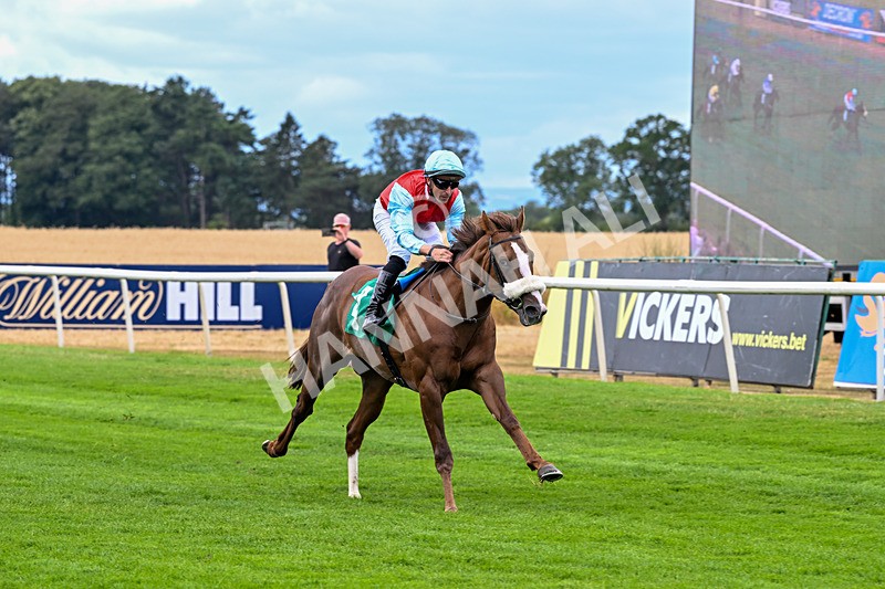 010826-Race 1-Battle Fever-1882 - Race 1 13.38pm John & Paula 25th Wedding Anniversary EBF Novice Stakes