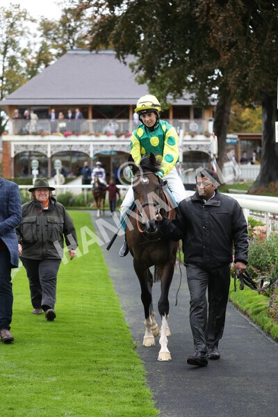 yr07102022r1-37 - Race 1 2.05pm Parsonage Hotel and Cloisters Spa Stakes