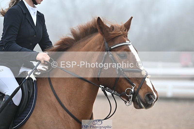 231118A-090022-00167 - Cls 2 BlueChip Pony Novice Qualifier