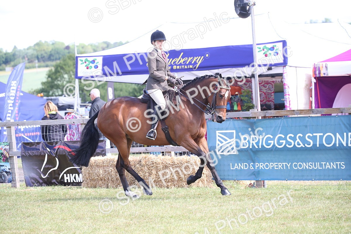 SBM_13317 - Class 95-96 - LIHS BSHA Rising Star Hack Riding Horse