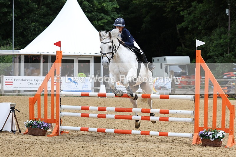 3E7A6332 - Class 4: Senior British Novice/90cm open