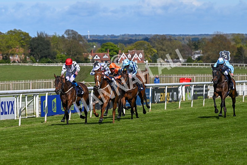 250424-Race 4-Classy Boy-1286 - Race 4