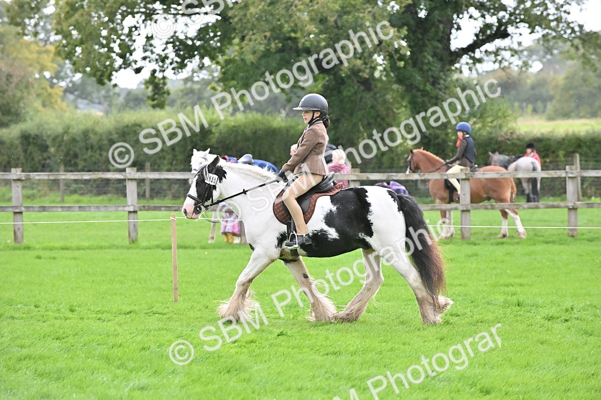 SBM_42921 - S12 - Family Horse & Pony