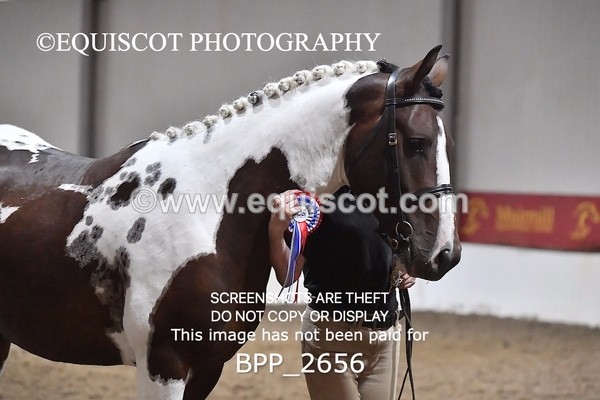 BPP_2656 - LOOSE JUMPING / SPSS