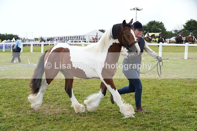 DSC06683 - Class 58: Coloured Pony Youngstock