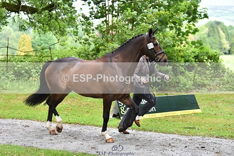 240522-160030-00642 - 113-MONANORE_GOLD-Jemima_Hughes