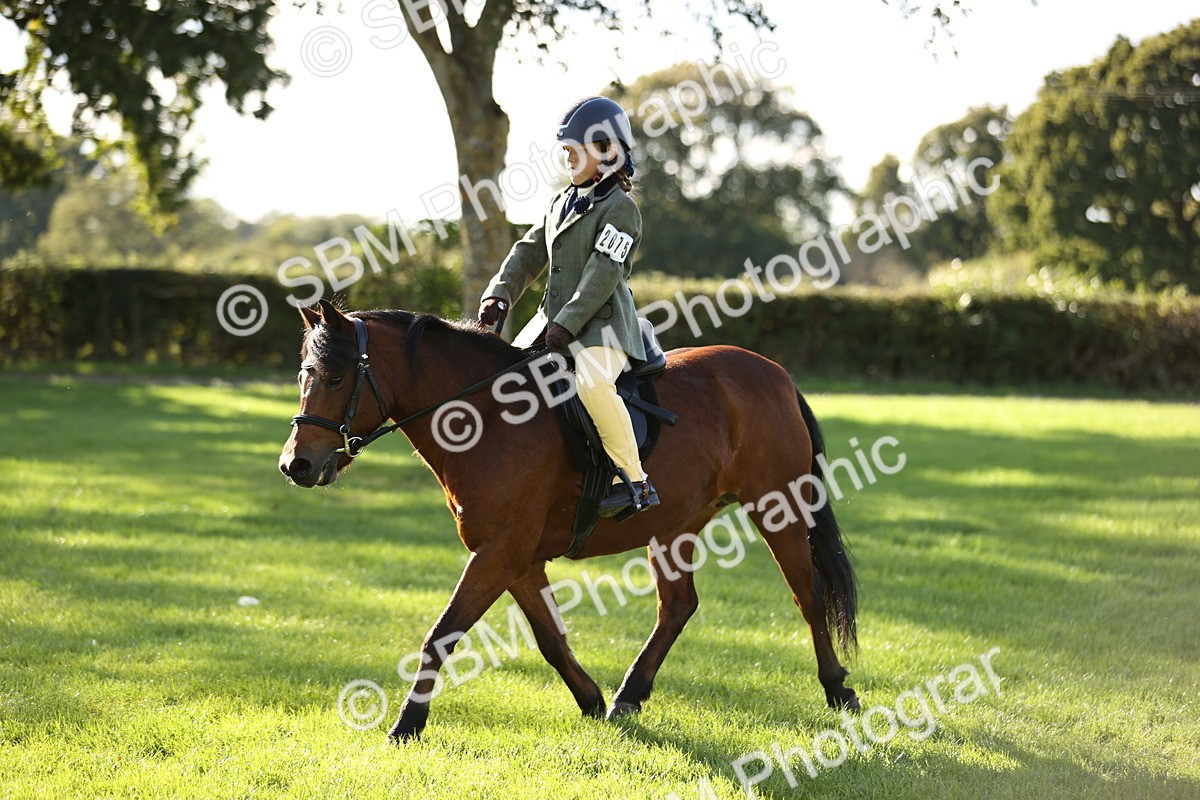 SBM_29355 - S7 - Novice & Newcomers Ridden Pony