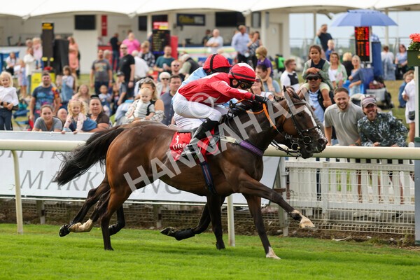 yr04092022p1-42 - 12.30pm 148cm Conditions Pony Race