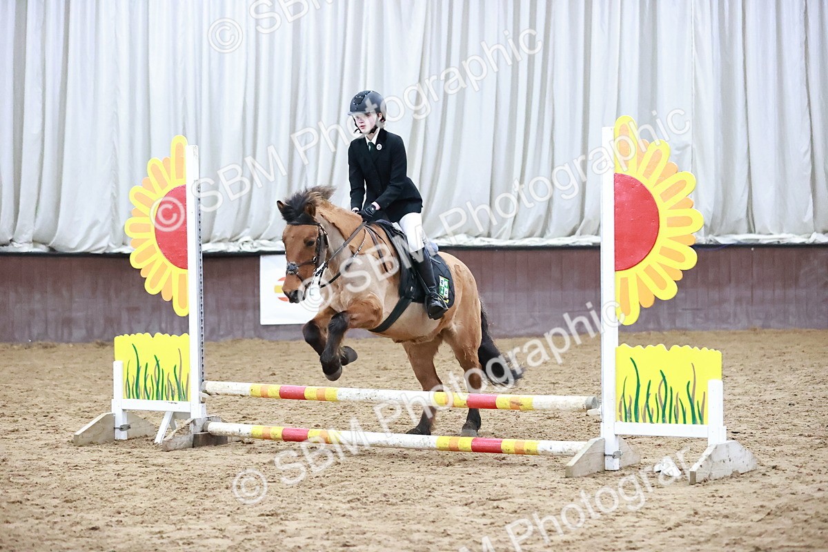 SBM_000523 - Class 2 - 50cm