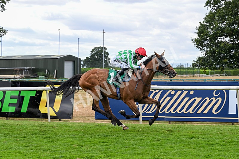 070826-Race 5-Master Vintner-2002 - Race 5 16.10pm William Hill, Market Place, Thirsk Handicap