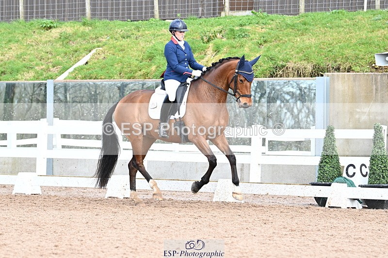 240218A-141611-08027 - 209-Charlotte.Dicker-Catherston.Tarantella