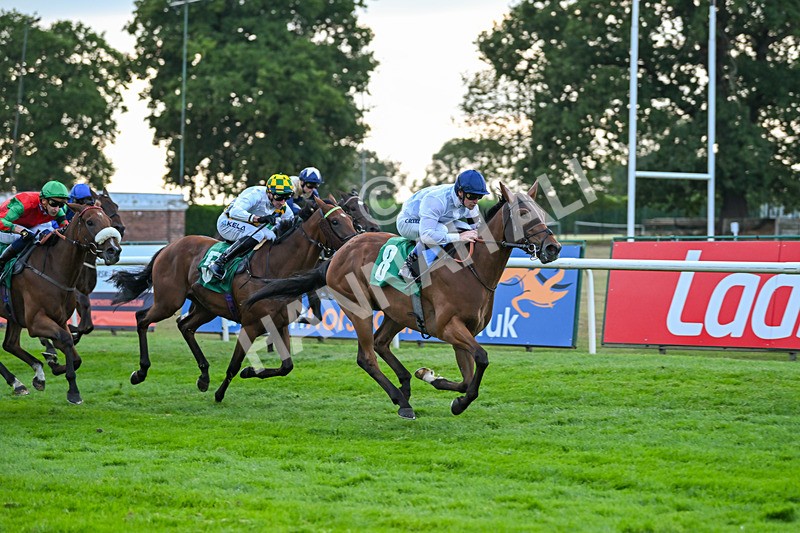 150825-Race 4-Fire Flame-2818 - Race 4