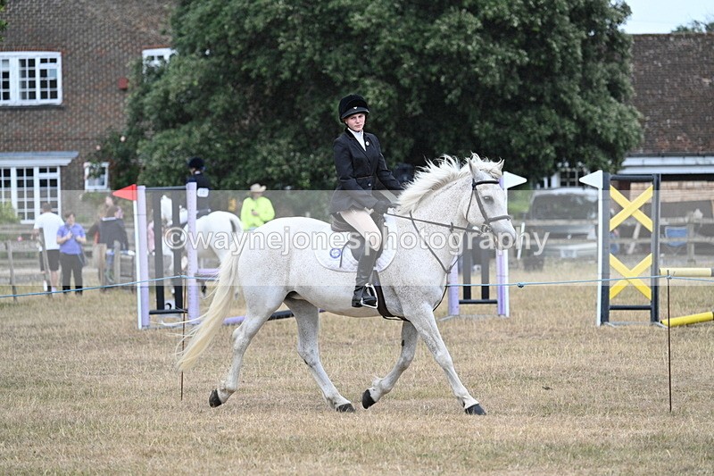 WJ7_0955 - Class 7 Riding Club Show Horse