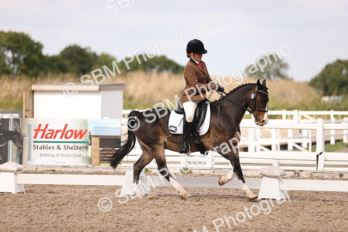 SBM_06058 - Class 37 Novice 5