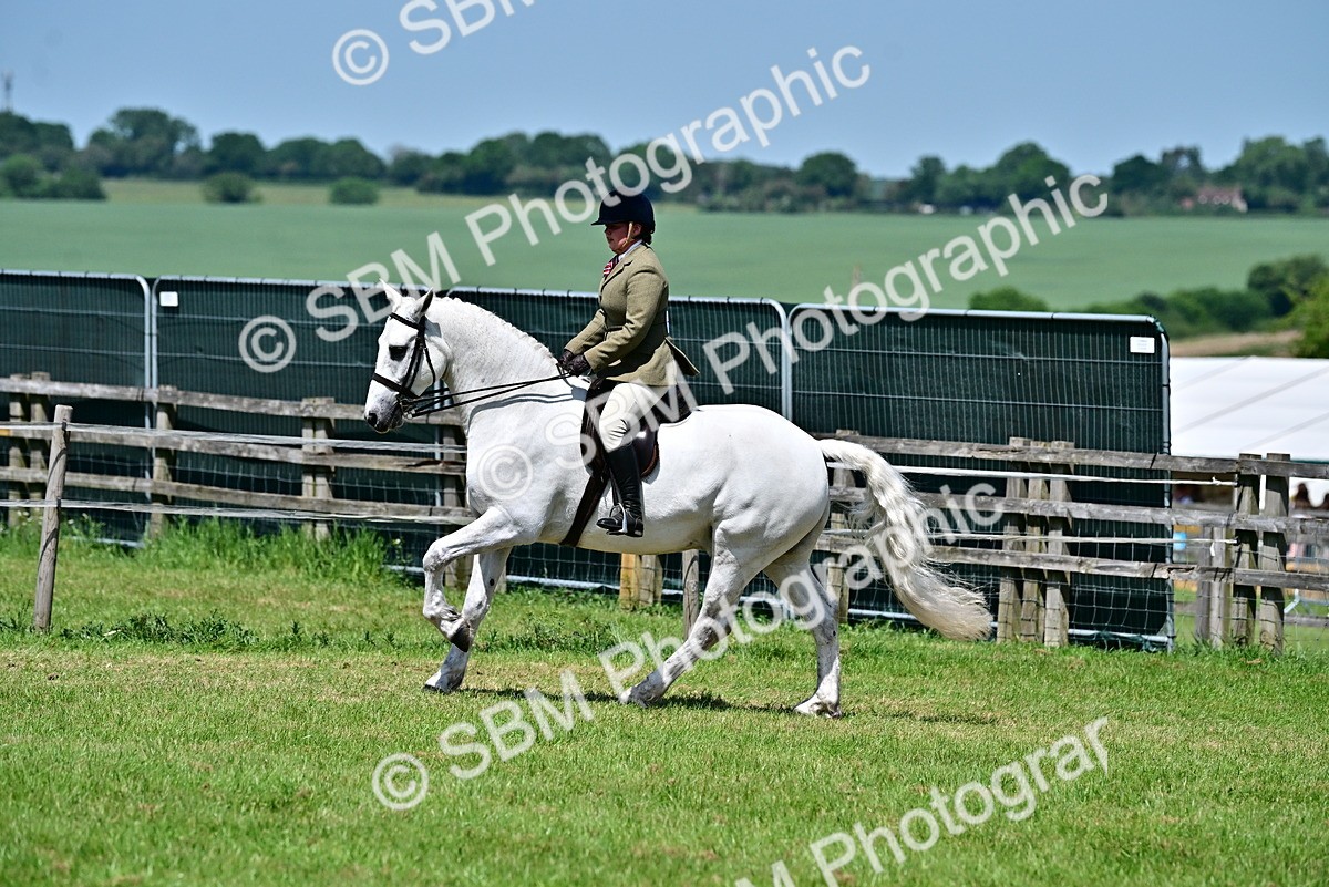 SBM_17485 - Class 95-97 - BSPS LHS Performance Ponies