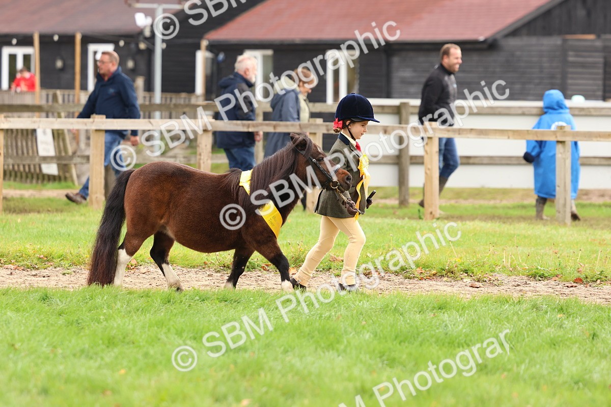 SBM_59756 - Start Supreme Championship