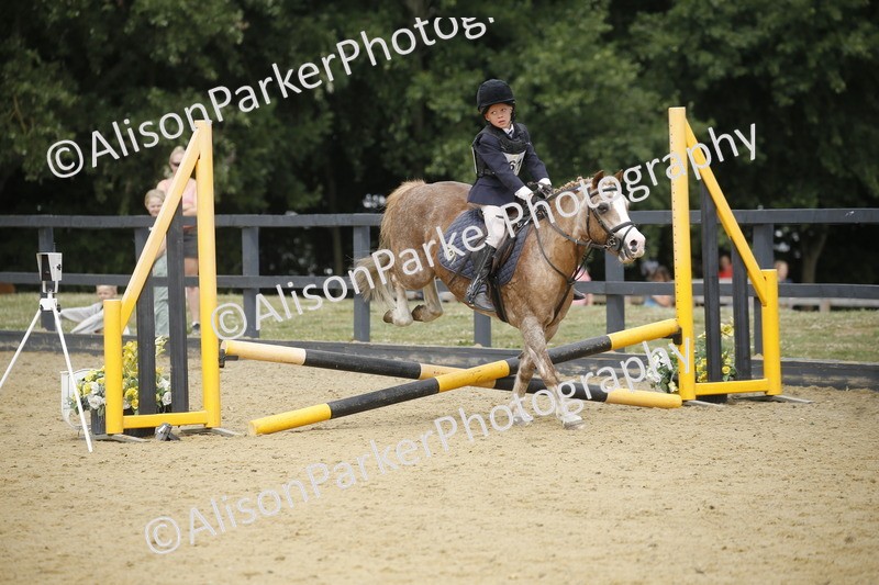 20250622-3804 - 50cm