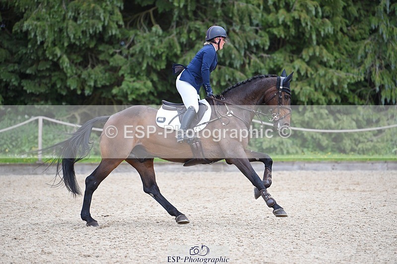 230528-142336-18589 - 178-RIDIRE_DORCHA-Lucy_Stimson-SUNTrotUp+SJ