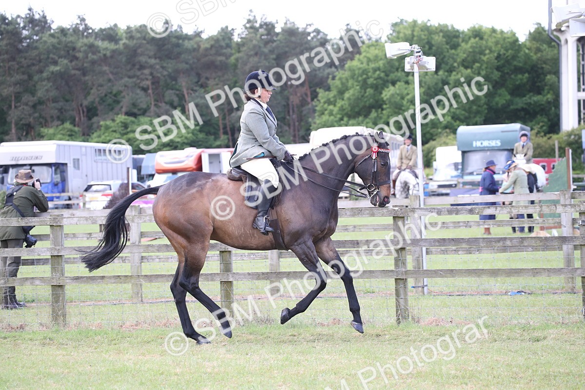 SBM_14188 - Class 113-114 - Retraining of Racehorses Ridden