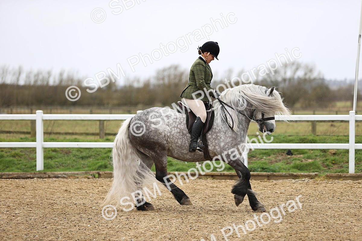 SBM_007513 - Class 31-32 - M&M Confined Novice Small-Large