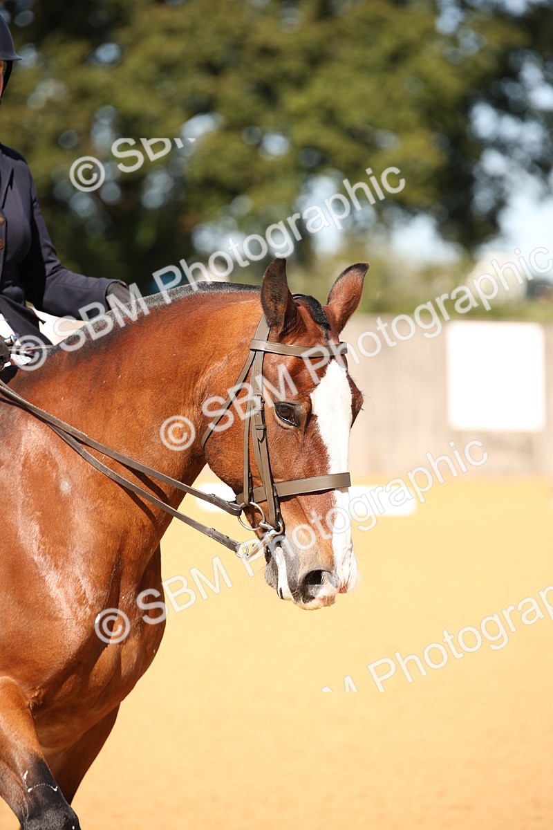 SBM_18503 - D31 - Grand Tour - PYO Open