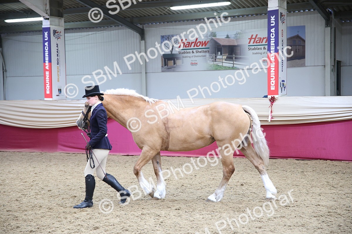 SBM_24743 - Class 906 - Supreme Final - Ridden Pre Vet