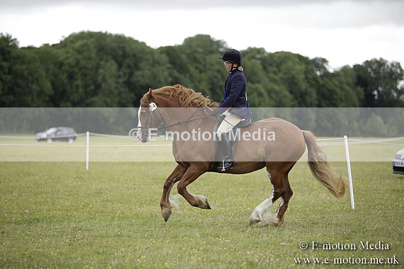 BVR160717-2124 - Ridden Championship 16/07/17