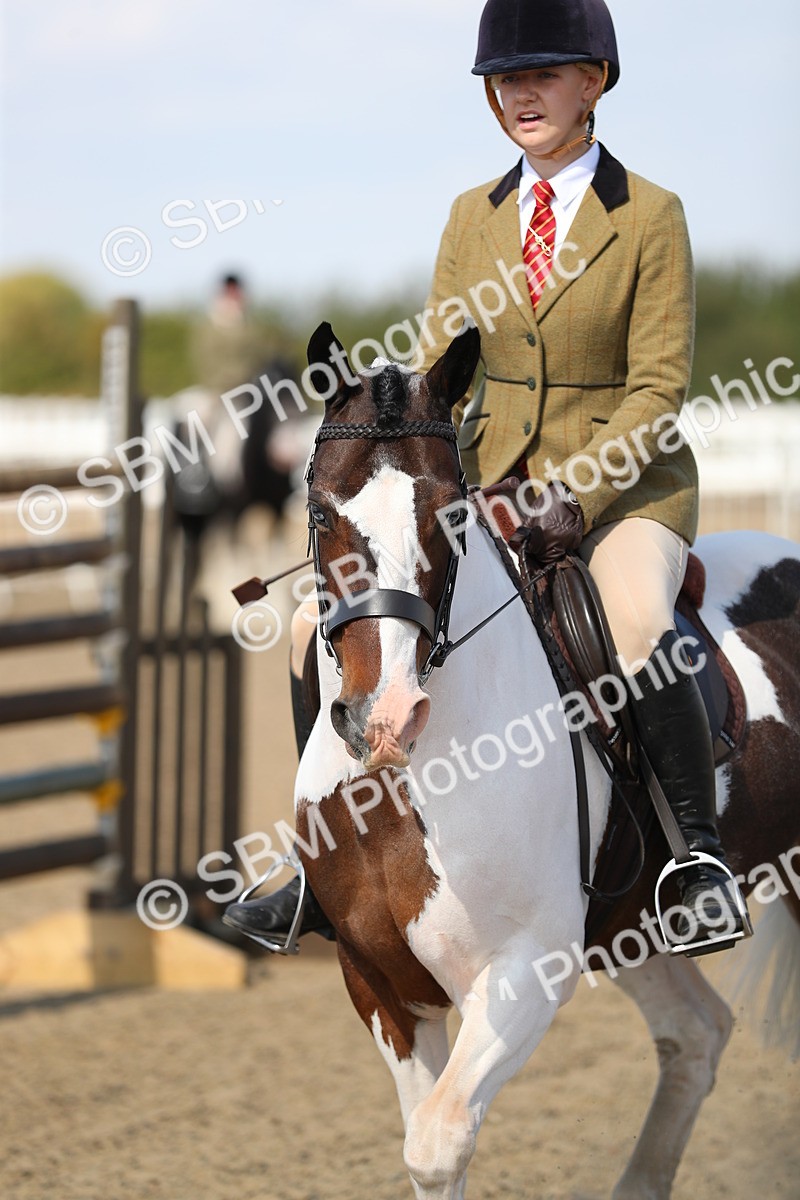SBM_03246 - Class 44 Riding Club Horse/ Pony