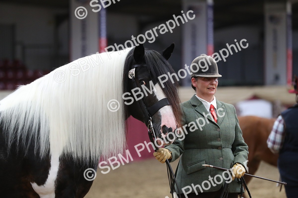 SBM_06426 - Class 9R Regional- IH Pre Vet
