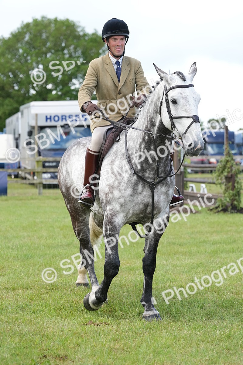 SBM_14903 - Class 100-102 - RIHS Working Hunter