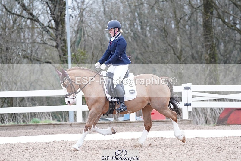 250214-094554-00064 - 167-Willow.Tarrant.Clark-Ashgrove.Wendi