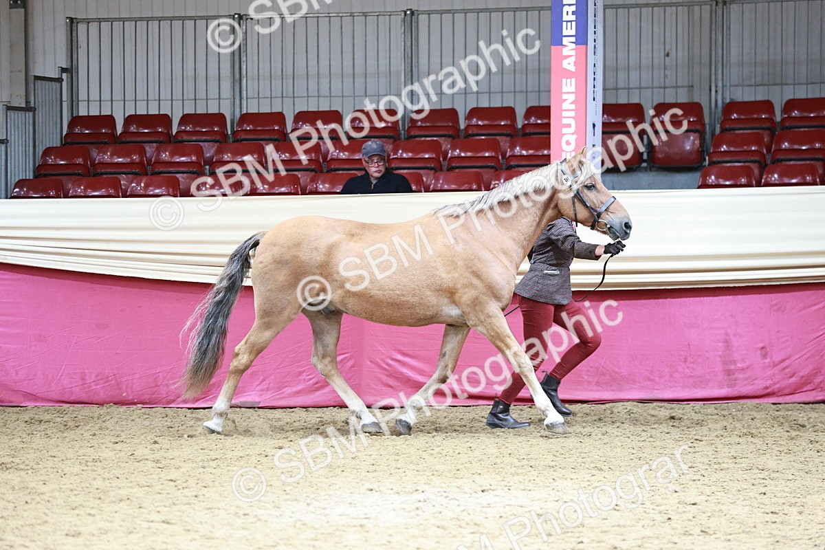 SBM_04664 - Class 7R - Regional IH Diamond