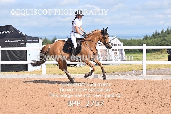 BPP_2757 - FRI CLASS 17 Pony Newcomers/1m Open